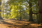 Luxe weekendje weg -- herfstkleuren