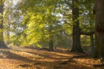 Luxe weekendje weg -- herfstkleuren