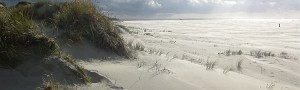 Omgeving: Dagje Eiland Terschelling