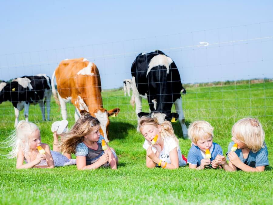 Ijsjes eten doe je met elkaar