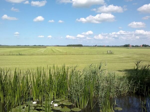 view from our holidayhome Ihre Ferien Holland mit panoramischer Ausblick über das friesische Platteland