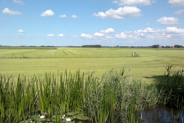 Natuur ruimte en rust - uitzicht vanuit uw vakantiehuis