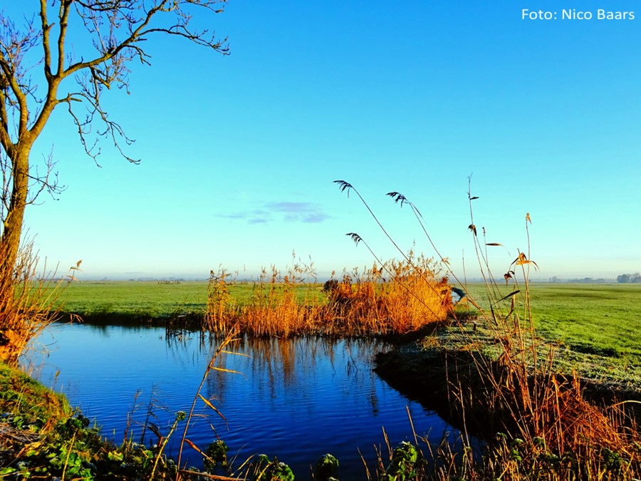 buitenfoto van omgeving Snikzwaag