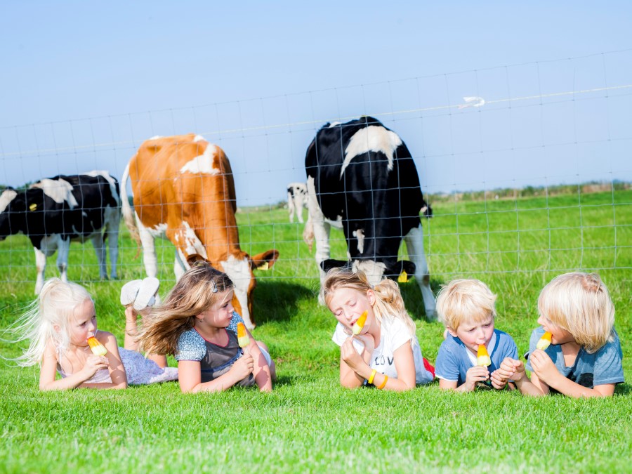 kinderen spelen met elkaar en eten ijsjes