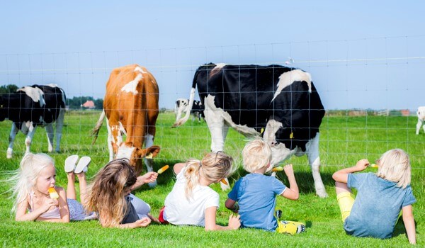 Vakantie met kinderen