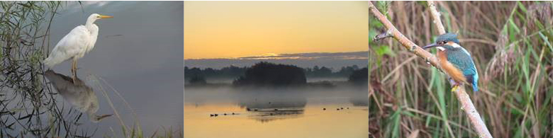 vogelkijkhutten